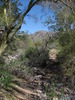 photo thumbnail #11