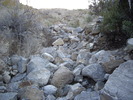 photo thumbnail #3
