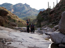 photo thumbnail #6