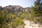 photo thumbnail #8