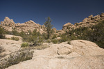 photo thumbnail #10
