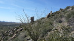 photo thumbnail #5