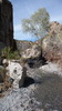 photo thumbnail #11