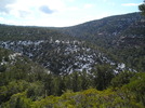 photo thumbnail #2