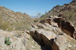 photo thumbnail #4