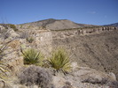 photo thumbnail #7