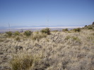 photo thumbnail #12
