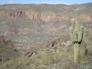 photo thumbnail #6