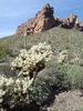 photo thumbnail #8