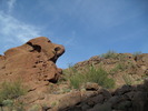 recent photo