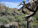 photo thumbnail #11