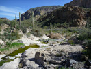 photo thumbnail #12