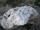 photo thumbnail #1