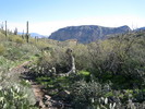 photo thumbnail #4