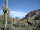 photo thumbnail #7