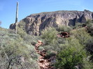 photo thumbnail #8