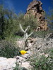 photo thumbnail #13