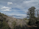 photo thumbnail #5