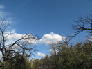 photo thumbnail #6