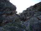 photo thumbnail #12