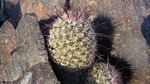 photo thumbnail #3