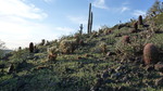photo thumbnail #5