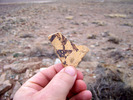 photo thumbnail #12