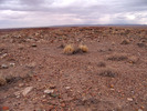 photo thumbnail #13