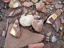 photo thumbnail #15