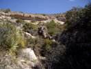 photo thumbnail #13