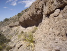 photo thumbnail #15