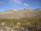 photo thumbnail #3