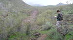 photo thumbnail #2