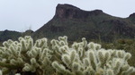 photo thumbnail #11