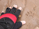 photo thumbnail #6