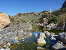 photo thumbnail #8