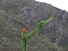 photo thumbnail #6