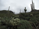 photo thumbnail #8