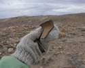 photo thumbnail #2