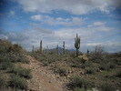 photo thumbnail #1