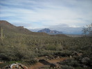 photo thumbnail #12
