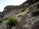 photo thumbnail #10