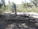 photo thumbnail #8