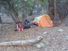 photo thumbnail #13