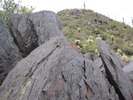 photo thumbnail #5