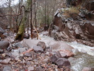 photo thumbnail #4