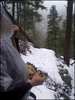 photo thumbnail #10