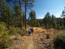 photo thumbnail #5
