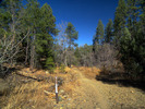 photo thumbnail #6