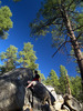 photo thumbnail #12